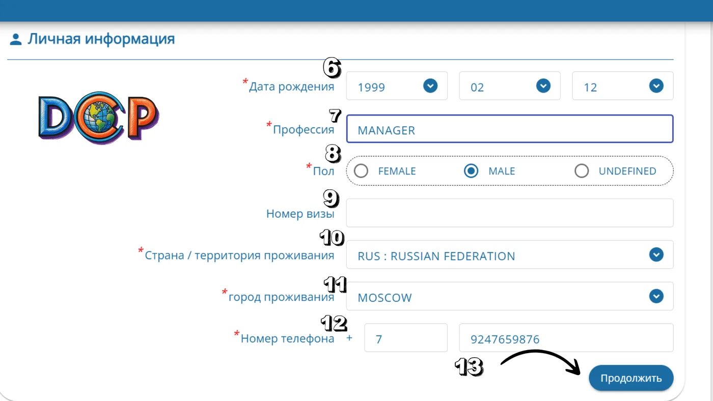 Форма TDAC, личная информация: дата рождения, профессия, пол, номер визы, страна и город проживания, телефон